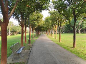 activités plein air à Melun